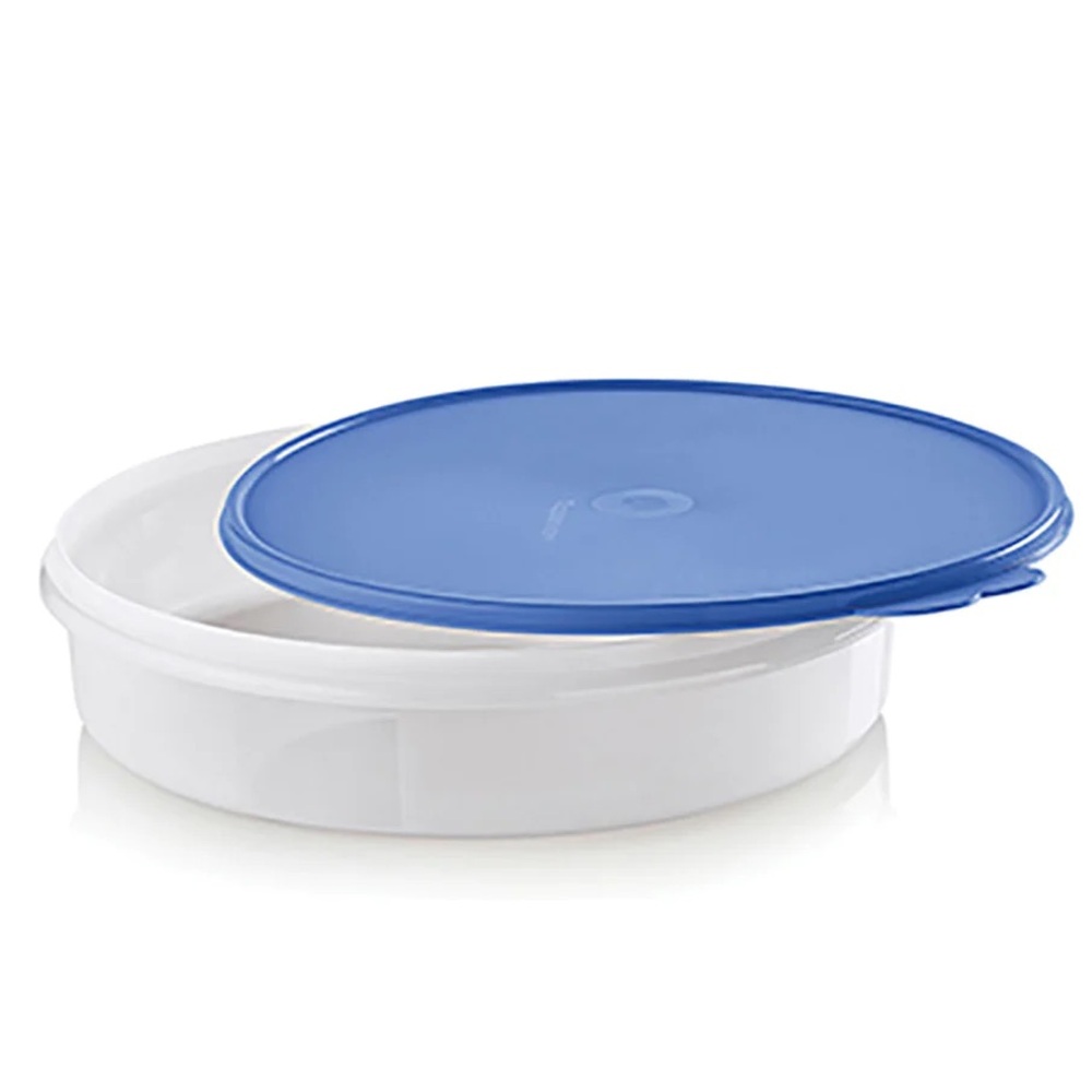 Freezer-safe Round Container for pies/desserts/snacks-Dragonfly